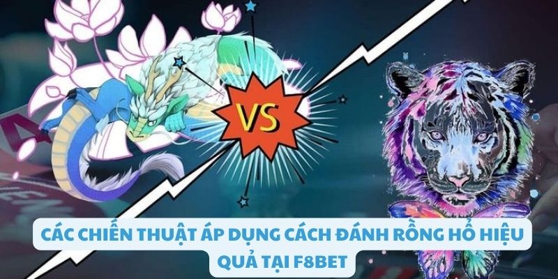 Áp dụng chiến thuật trong cách đánh rồng hổ