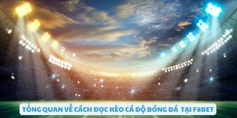 Tổng quan về cách đọc kèo cá độ bóng đá tại F8bet