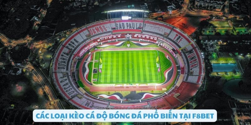 Các loại kèo cá độ bóng đá phổ biến F8bet