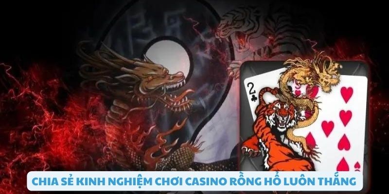 Kinh nghiệm chơi casino rồng hổ luôn thắng