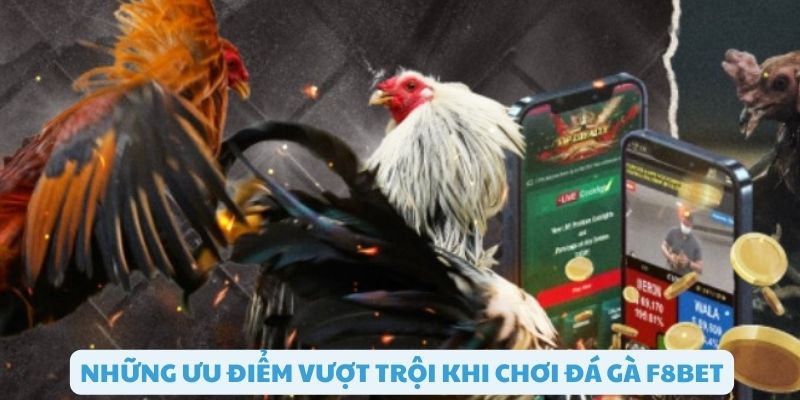 Trải nghiệm hấp dẫn tại đá gà F8bet