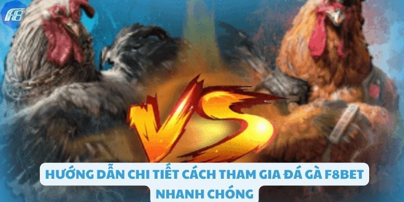 Chi tiết cách tham gia đá gà F8bet nhanh chóng