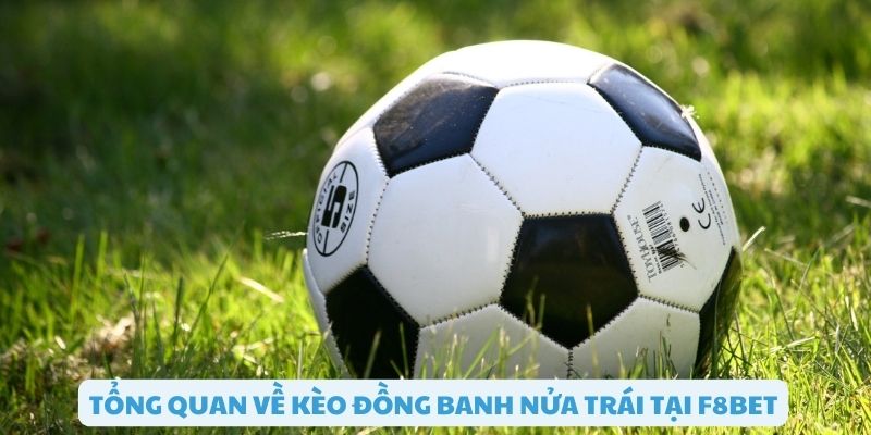 Tổng quan kèo đồng banh nửa trái F8bet