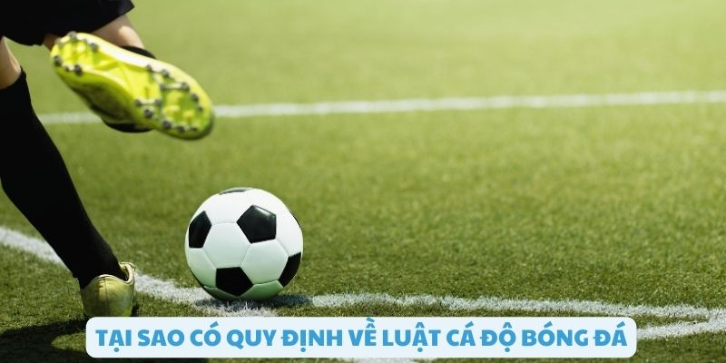 Vai trò của quy định về luật cá độ bóng đá