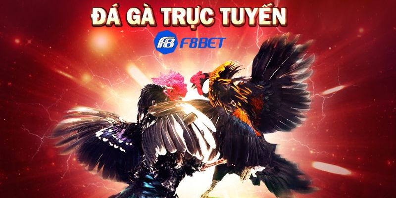 đá gà trực tiếp casino
