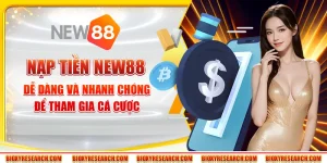 Nạp Tiền New88