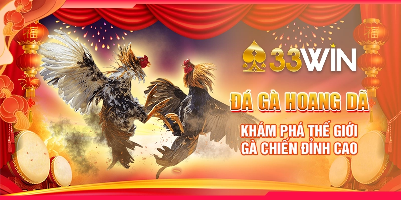 Đá Gà Hoang Dã: Khám Phá Thế Giới Gà Chiến Đỉnh Cao