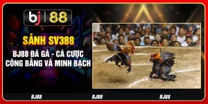 Sảnh Sv388 Bj88 Đá Gà - Cá Cược Công Bằng Và Minh Bạch