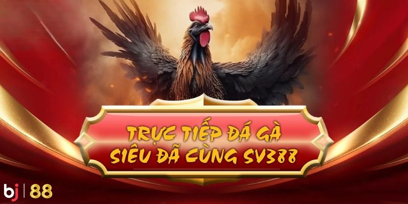 Sánh cược uy tín hàng đầu