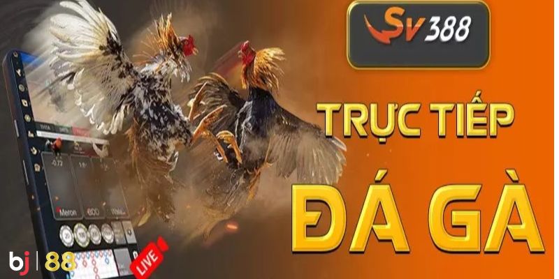 Nhiều của cược hấp dẫn