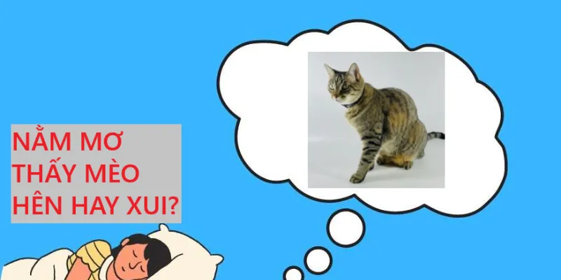 Nằm mơ thấy mèo Hello88