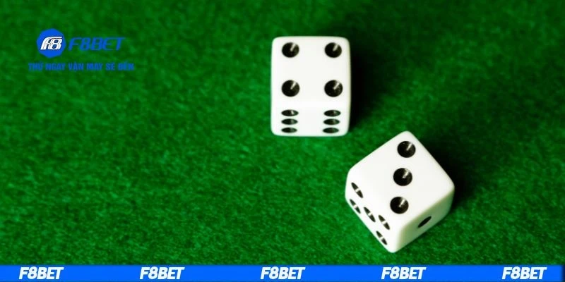 Giới thiệu về dàn đề nuôi 2 ngày