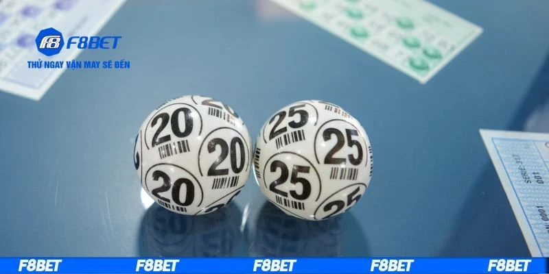 Kỹ thuật chơi dàn đề nuôi 2 ngày