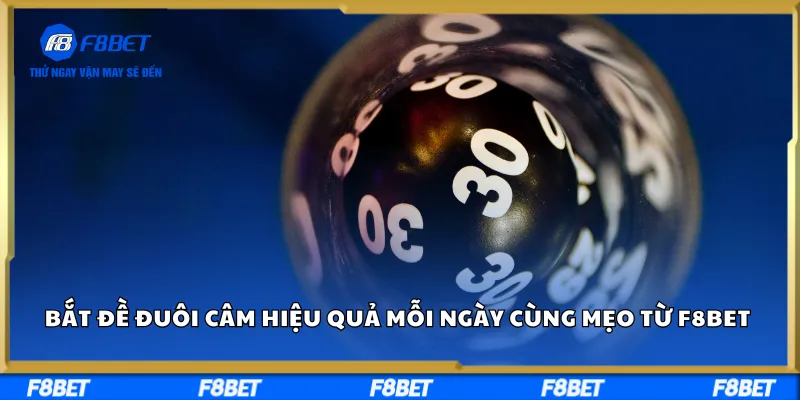 Bắt Đề Đuôi Câm Hiệu Quả Mỗi Ngày Cùng Mẹo Từ F8BET