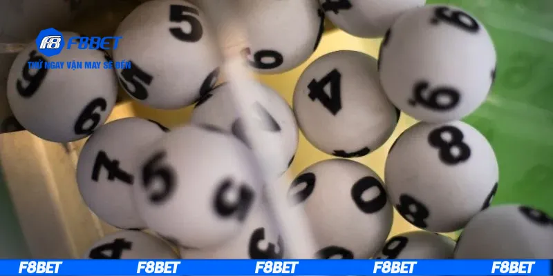 Mẹo nuôi đề 4 càng hiệu quả