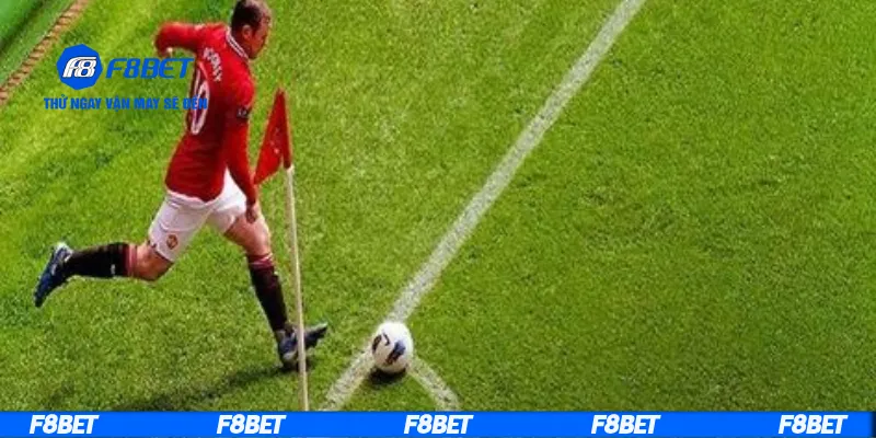 Có những kèo cược số lượng góc nào?