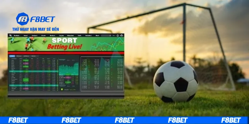 Tìm hiểu về kèo cược số lượng góc